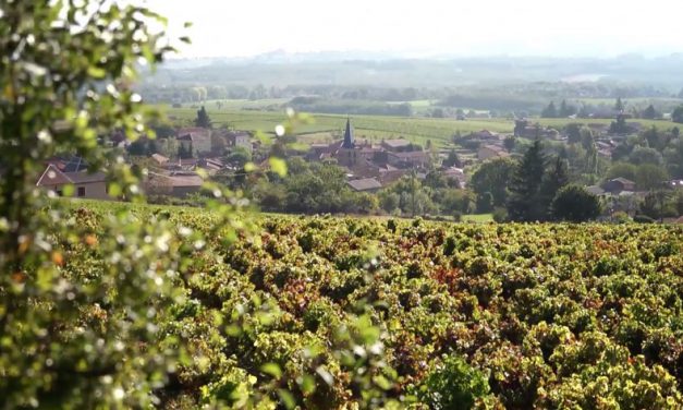 Fan van Beaujolais